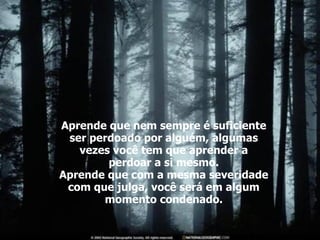 Aprende que nem sempre é suficiente ser perdoado por alguém, algumas vezes você tem que aprender a perdoar a si mesmo. Aprende que com a mesma severidade com que julga, você será em algum momento condenado. 
