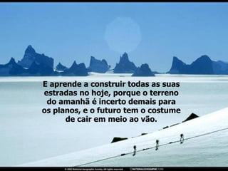 E aprende a construir todas as suas estradas no hoje, porque o terreno do amanhã é incerto demais para os planos, e o futuro tem o costume de cair em meio ao vão. 