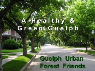 A  H e a l t h y  & G r e e n  G u e l p h Guelph  Urban Forest  Friends 