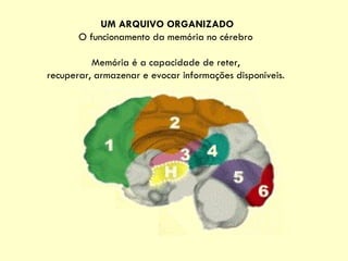 UM ARQUIVO ORGANIZADO O funcionamento da memória no cérebro  Memória é a capacidade de reter,  recuperar, armazenar e evocar informações disponíveis.  