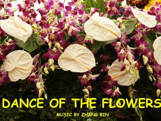 DANCE OF THE FLOWERS MUSIC BY ZHANG BIN 
