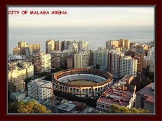 CITY OF MALAGA ARENA 