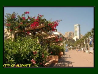 CITY OF ALICANTE 