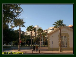 CITY OF ALICANTE 