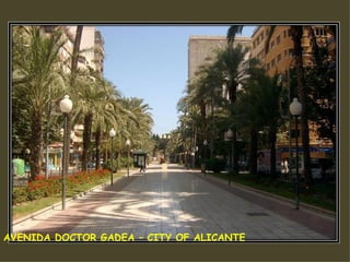 AVENIDA DOCTOR GADEA – CITY OF ALICANTE 