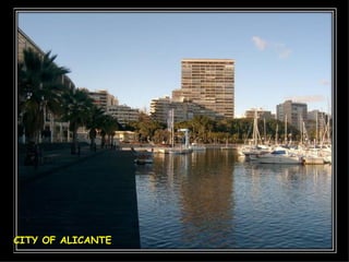 CITY OF ALICANTE 