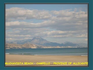 MUCHAVISTA BEACH – CAMPELLO – PROVINCE OF ALLICANTE 
