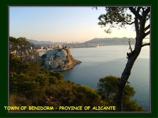 TOWN OF BENIDORM – PROVINCE OF ALICANTE 