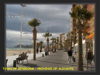TOWN OF BENIDORM – PROVINCE OF ALICANTE 