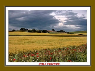 AVILA PROVINCE 