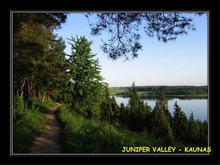JUNIPER VALLEY - KAUNAS 