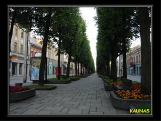 KAUNAS 
