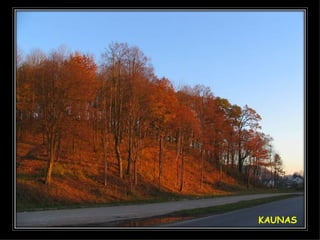 KAUNAS 