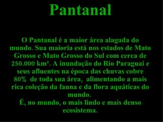 Pantanal O Pantanal é a maior área alagada do mundo. Sua maioria está nos estados de Mato Grosso e Mato Grosso do Sul com cerca de 250.000 km². A inundação do Rio Paraguai e seus afluentes na época das chuvas cobre 80% de toda sua área,  alimentando a mais rica coleção da fauna e da flora aquáticas do mundo.  É, no mundo, o mais lindo e mais denso ecosistema. 