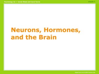 Neurons, Hormones, and the Brain chapter 4  