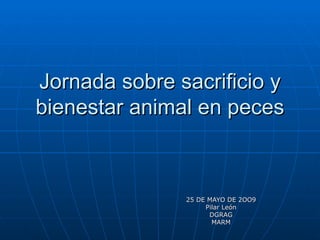Jornada sobre sacrificio y bienestar animal en peces 25 DE MAYO DE 2OO9 Pilar León DGRAG MARM 