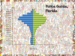 Understanding Population Pyramids