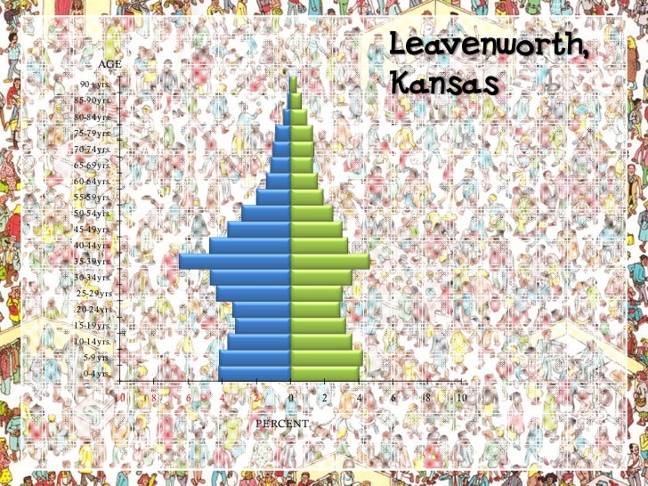 Understanding Population Pyramids