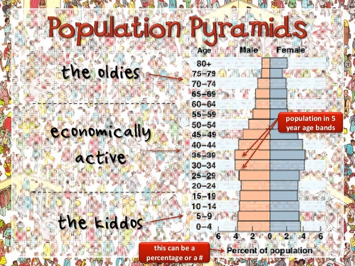 understanding population pyramids understanding population pyramids