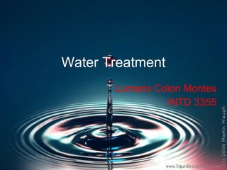 Water Treatment Lumaris Colon Montes INTD 3355 