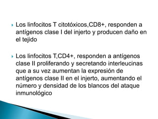 Presentación Directa de AloantígenosEl Reconocimiento directo de mol MHC extrañas ocurre por reacción cruzada de un TCR que fue seleccionado para reconocer un MHC propio más un péptido extraño.MHC alogeneica con péptido unido puede imitar el determinante formado por un MHC propio más un péptido extraño.