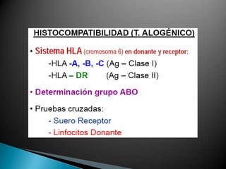 El reconocimiento de antígenos por las células T está restringido por el HLA