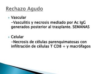 Vía indirecta: reconocimiento de antígenos del transplante presentado por las células presentadora del receptor.