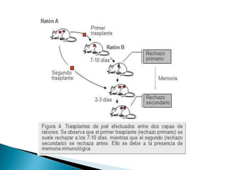 LEÓN BALTA, MILUSKA