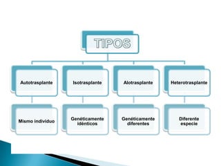 MORENO ZAFRA, CARLOS