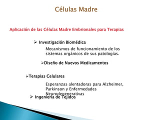 TRASPLANTE DE TEJIDOSS A N G R ELa transfusión continua siendo el trasplante mas común.