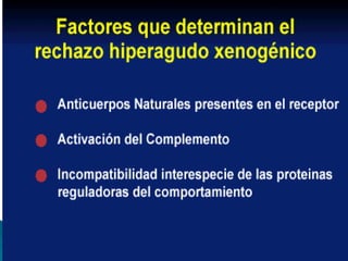 C Ó R N E AEs poco antigénica