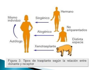 SAGASTEGUI VILLAR, WILLY