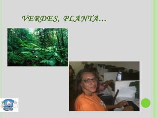 VERDES, PLANTA... 