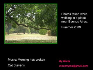 [email_address] By Maria Music: Morning has broken Cat Stevens Photos taken while walking in a place near Buenos Aires. Summer 2009 