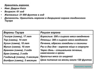 Хранитель воронов  Имя: Деррик Койл Возраст: 61 год Жалованье: 21 000 фунтов в год Должность: Хранитель воронов в дворцовой охране лондонского Тауэра Хранитель воронов Взрослые: 200 г сырого мяса ежедневно Птенцы: 300 г сырого мяса ежедневно Печенка, обрезки говядины и свинины Раз в два дня - вареное яйцо в скорлупе Через день - специальное печенье, намоченное в крови Кроличье мясо со шкуркой Цена питания на месяц около 120 фунтов Гвилум (самец), 17 лет Тор (самец), 14 лет Хугин (самка), 10 лет Мунин (самка), 10 лет Бранвен (самка), 3 года Бран (самец), 2 года Гэндальф (самец), 5 месяцев Болдрик (самец), 5 месяцев Рацион ворона Вороны Тауэра 
