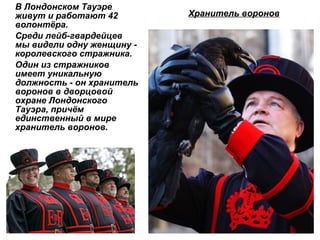 В Лондонском Тауэре живут и работают 42 волонтёра. Среди лейб-гвардейцев мы видели одну женщину -королевского стражника. Один из стражников имеет уникальную должность - он хранитель воронов в дворцовой охране Лондонского Тауэра, причём  единственный в мире хранитель воронов.   Хранитель воронов 