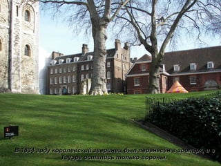 В 1834 году королевский зверинец был перенесён в зоопарк, и в Тауэре остались только вороны.  