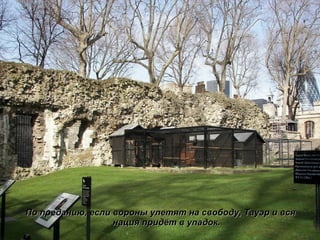 По преданию, если вороны улетят на свободу, Тауэр и вся нация придёт в упадок. 