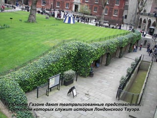 На Южном Газоне дают театрализованные представления, сюжетом которых служит история Лондонского Тауэра. 
