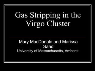 Gas Stripping in the Virgo Cluster Mary MacDonald and Marissa Saad University of Massachusetts, Amherst   