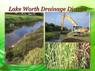 Low Impact Development / Green Infrastructure | PPT
