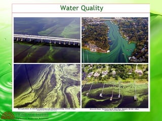 Low Impact Development / Green Infrastructure | PPT