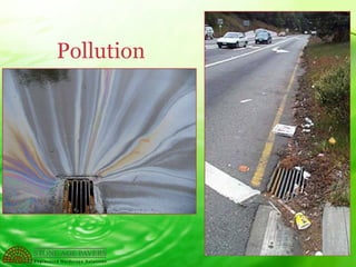 Low Impact Development / Green Infrastructure | PPT