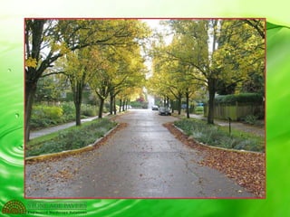Low Impact Development / Green Infrastructure | PPT