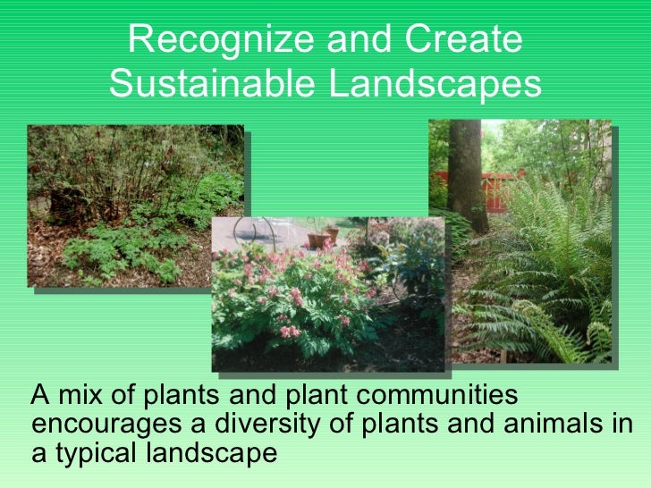 ecogardening to reduce carbon footprint 36 728