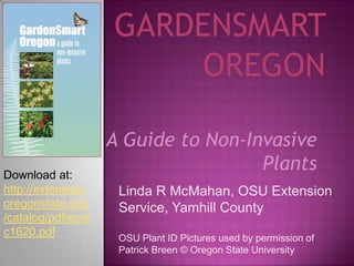 GardenSmart Oregon A Guide to Non-Invasive Plants Download at:  http://extension.oregonstate.edu/catalog/pdf/ec/ec1620.pdf Linda R McMahan, OSU Extension Service, Yamhill County OSU Plant ID Pictures used by permission of Patrick Breen © Oregon State University 
