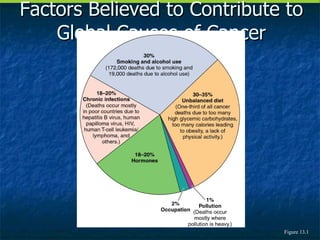 Factors Believed to Contribute to Global Causes of Cancer Figure 13.1 