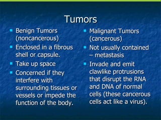 Tumors Benign Tumors (noncancerous) Enclosed in a fibrous shell or capsule. Take up space Concerned if they interfere with surrounding tissues or vessels or impede the function of the body. Malignant Tumors (cancerous) Not usually contained – metastasis Invade and emit clawlike protrusions that disrupt the RNA and DNA of normal cells (these cancerous cells act like a virus). 