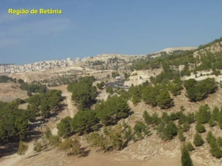 Região de Betânia
 