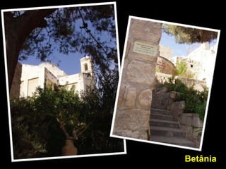 Betânia
 